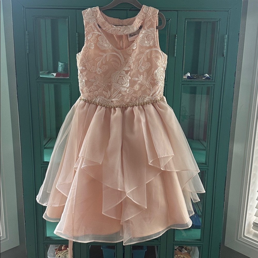 Rare Editions Pink Floral Embroidered Lace and Rhinestone Dress